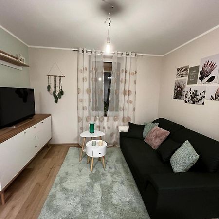Boarding House Am Ahnepark Apartment Vellmar Ngoại thất bức ảnh